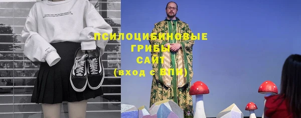 тгк Пересвет